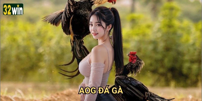 AOG Đá Gà 32win có thực sự mang đến trải nghiệm cược đá gà tuyệt vời nhất?