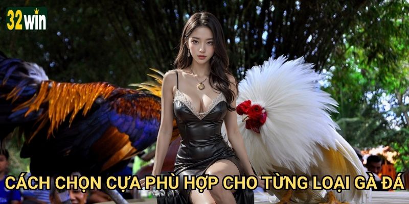 Cựa gà đá chất lượng 32win giới thiệu có đáng tin không? 3 Cách chọn cựa phù hợp cho từng loại gà đá?