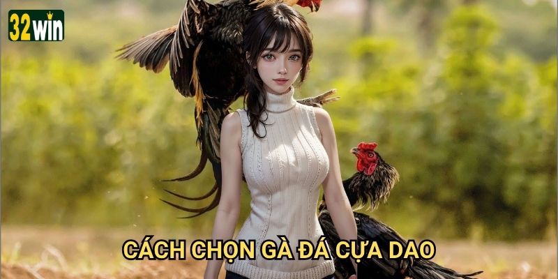 Cách chọn gà đá cựa dao 32win có bí quyết gì đặc biệt?