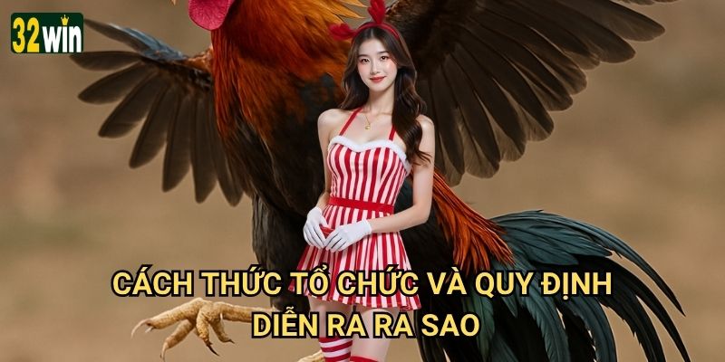 Đá gà Campuchia 32win có những nét đặc trưng nổi bật nào? 3 Cách thức tổ chức và quy định diễn ra ra sao?