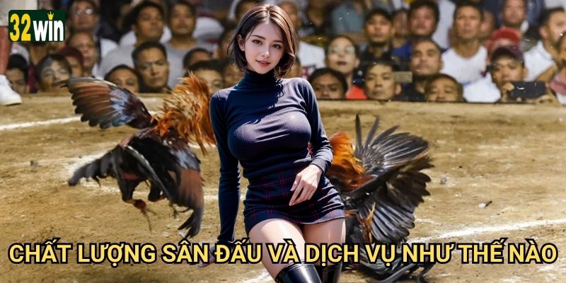 Ws168 Đá Gà 32win có uy tín về tỷ lệ thanh toán không? 3 Chất lượng sân đấu và dịch vụ như thế nào?
