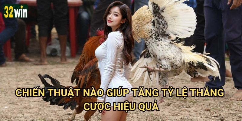 Đá gà ăn tiền 32win có thực sự giúp kiếm lời không? 3 Chiến thuật nào giúp tăng tỷ lệ thắng cược hiệu quả?
