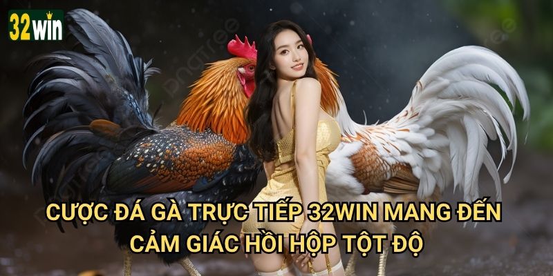 Cược đá gà trực tiếp 32win có ưu thế gì vượt trội? 2 Cược đá gà trực tiếp 32win mang đến cảm giác hồi hộp tột độ