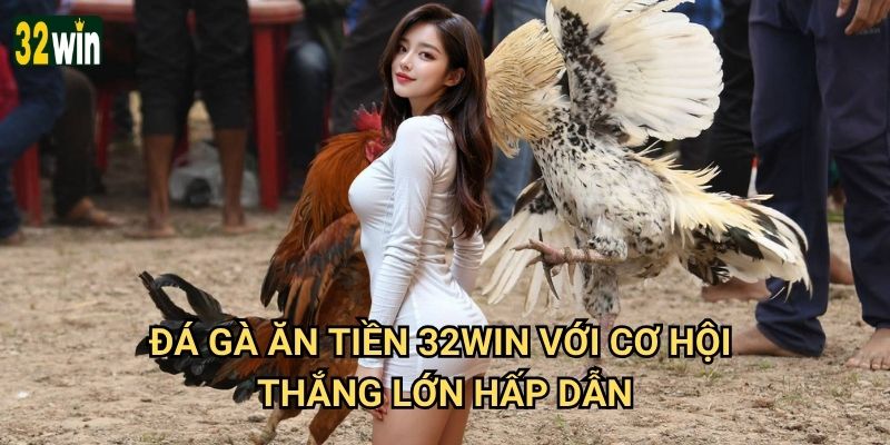 Đá gà ăn tiền 32win có thực sự giúp kiếm lời không? 2 Đá gà ăn tiền 32win với cơ hội thắng lớn hấp dẫn