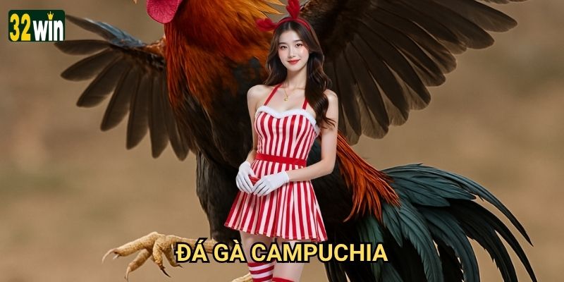 Đá gà Campuchia 32win có những nét đặc trưng nổi bật nào?
