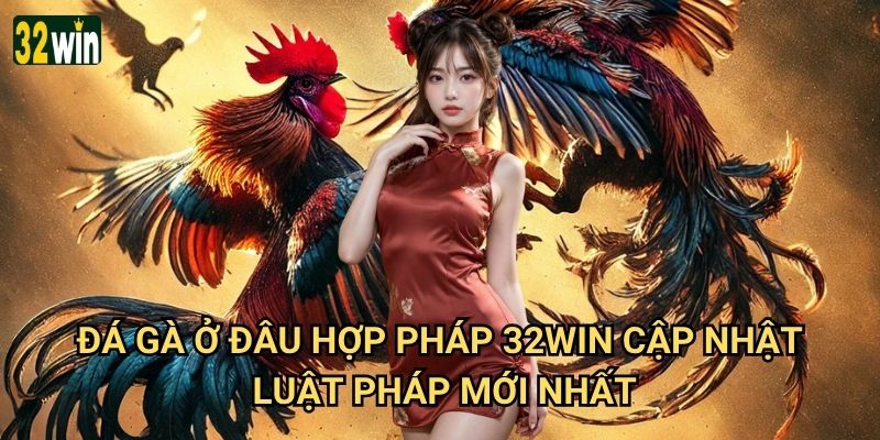 Đá gà ở đâu hợp pháp 32win cung cấp thông tin chính xác? 2 Đá gà ở đâu hợp pháp 32win cập nhật luật pháp mới nhất