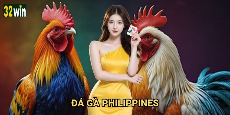 Đá gà Philippines 32win có phong cách đấu độc đáo không? 8 Đá gà Philippines 32win có phong cách đấu độc đáo không?
