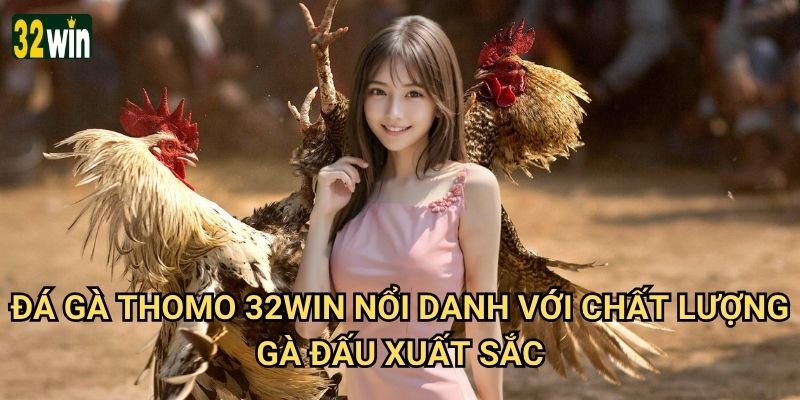 Đá gà Thomo 32win có gì đặc sắc so với các sân khác? 1 Đá gà Thomo 32win nổi danh với chất lượng gà đấu xuất sắc
