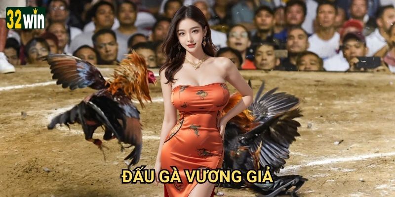 Đấu Gà Vương Giả 32win có xứng đáng là sân chơi đỉnh cao? 4 Đấu Gà Vương Giả 32win có xứng đáng là sân chơi đỉnh cao?