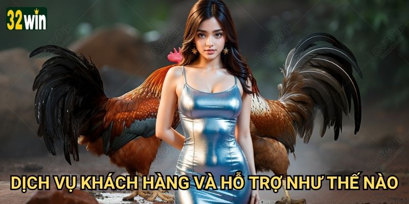 Đá gà SV388 32win có đáng tin cậy về chất lượng không? 3 Dịch vụ khách hàng và hỗ trợ như thế nào?