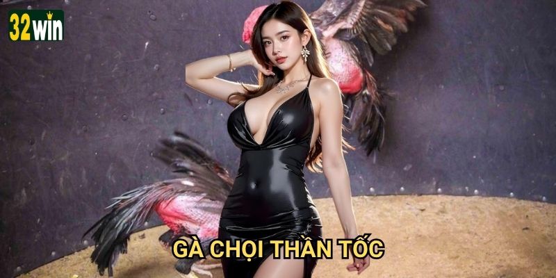 Gà Chọi Thần Tốc 32win có nhanh như tên gọi không? 1 Gà Chọi Thần Tốc 32win có nhanh như tên gọi không?