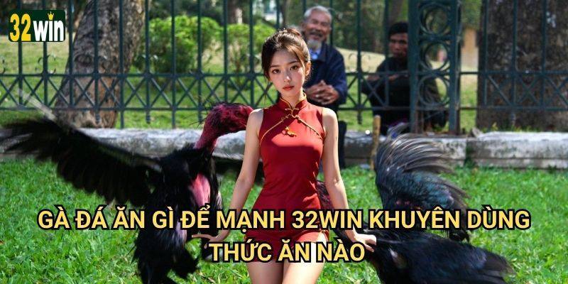 Gà đá ăn gì để mạnh 32win tư vấn cho hiệu quả tối ưu? 2 Gà đá ăn gì để mạnh 32win khuyên dùng thức ăn nào?