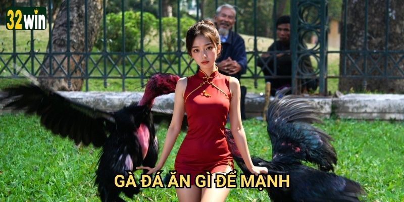Gà đá ăn gì để mạnh 32win tư vấn cho hiệu quả tối ưu?