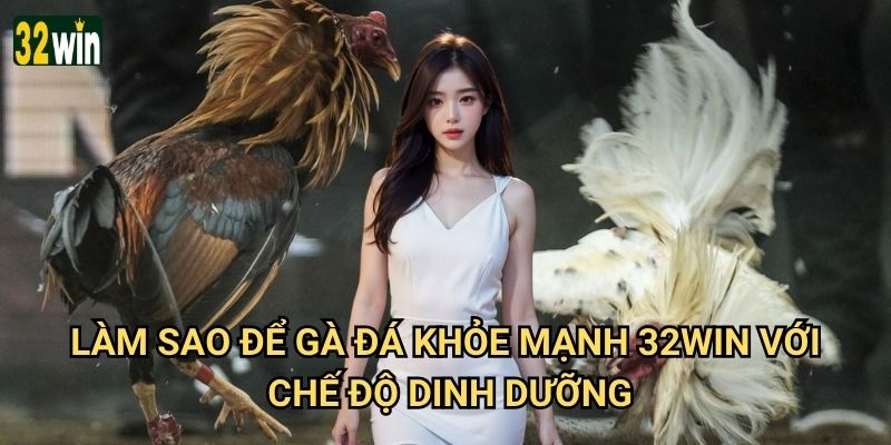 Làm sao để gà đá khỏe mạnh 32win hướng dẫn có hiệu quả? 2 Làm sao để gà đá khỏe mạnh 32win với chế độ dinh dưỡng