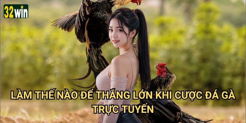AOG Đá Gà 32win có thực sự mang đến trải nghiệm cược đá gà tuyệt vời nhất? 3 Làm thế nào để thắng lớn khi cược đá gà trực tuyến?