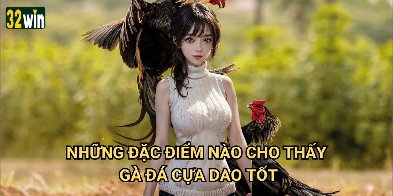 Cách chọn gà đá cựa dao 32win có bí quyết gì đặc biệt? 3 Những đặc điểm nào cho thấy gà đá cựa dao tốt?