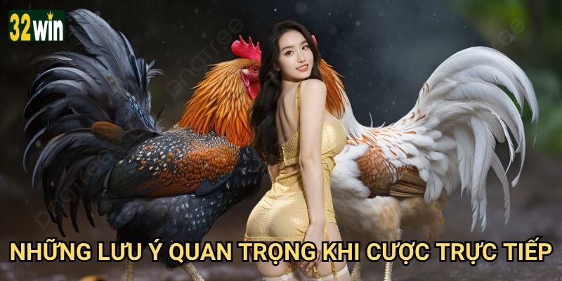 Cược đá gà trực tiếp 32win có ưu thế gì vượt trội? 3 Những lưu ý quan trọng khi cược trực tiếp?