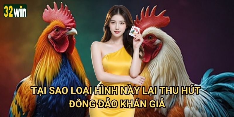 Đá gà Philippines 32win có phong cách đấu độc đáo không? 3 Tại sao loại hình này lại thu hút đông đảo khán giả?